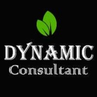 Dynamic Consultant Pvt Ltd logo - Similar company to Click Clickk Studio