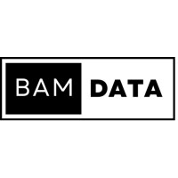 BAM Data logo - Similar company to Society For Applied Microwave Electronics Engineering & Research
