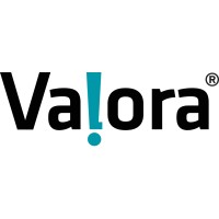 Grupo Valora