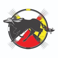 Trickster Cultural Center logo - Similar company to Washoe Native Tanf Program