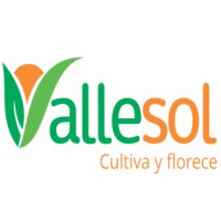 VALLESOL SAC logo - Similar company to Argensale