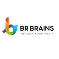 BR Brains logo - Similar company to Accelerate