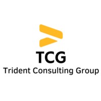 Trident Consulting Group logo - Similar company to Trident Microsoft