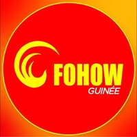 FOHOW GUINEE logo - Similar company to Fohowcare