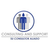 Consulting And Support logo - Similar company to Consulting, Innovation & Funding Sas - Cif Sas