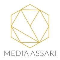 Media-assari logo - Similar company to Mediabot