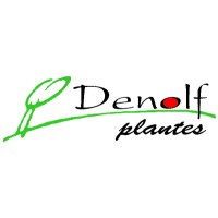 Denolf Plantes SPRL