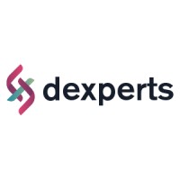 Dexperts B.V. logo - Similar company to Encore It Solutions