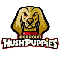 High Point Hushpuppies Baseball logo - Similar company to Northbrook Baseball