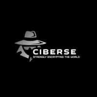 Ciberse logo - Similar company to Handholding Solution
