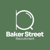 Baker Street Recruitment logo - Similar company to Ecology Elements Ltd