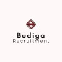 Budiga Recruitment logo - Similar company to Ivy-Digital Recruitment Solutions