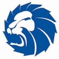 zlion logo - Similar company to Z-Lion Diamond Tools Group