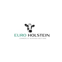EURO HOLSTEIN logo - Similar company to Centoventi