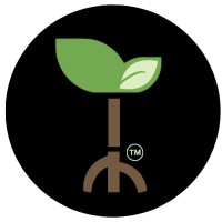 Proyecto Raíces