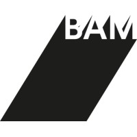 BAM projects logo - Similar company to Jdm Vin