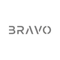 BRAVO Special Projects & Advisory logo - Similar company to Vsx Pessoas