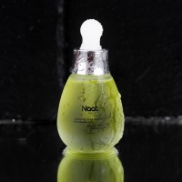 Naat Paris logo - Similar company to Drakkapp School