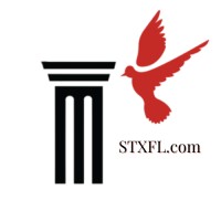 South TX Family Law logo - Similar company to Gyb Digital