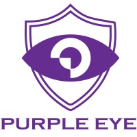 Purple Eye logo - Similar company to Hamdani Media