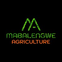 Mabalengwe Agriculture logo - Similar company to Urban Agriculture Initiative