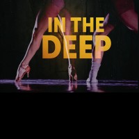 In the Deep Show logo - Similar company to Burn The Floor Limited
