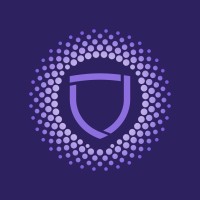 Paladin Blockchain Security logo - Similar company to Sinodevi
