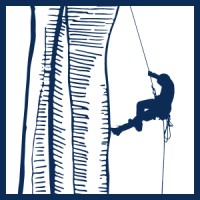 AÍDA Medical Consultants logo - Similar company to Connecticut Academy Of Family Physicians