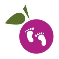 Blackcurrant Babies Ltd logo - Similar company to Systematics Software Limited