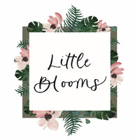 Little Blooms logo - Similar company to Freedom Foundry