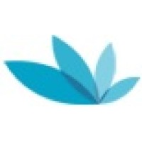 Lotus Technology Solutions