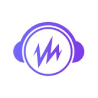 WiredVibe AI logo - Similar company to Aky X Digital
