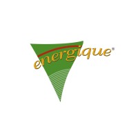 Energique B.V. logo - Similar company to Social Learning Lab.B.V.