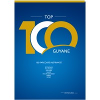 100 logo - Similar company to Cap2030