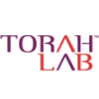 TorahLab logo - Similar company to Center For Initiatives In Jewish Education (Cije)