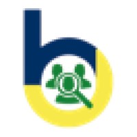 Budget Outsourcing Ltd logo - Similar company to Paywell Solutions