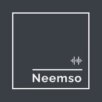 Neemso logo - Similar company to Sadar Development And Resilience Institute
