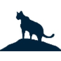 Cougar Offshore LLC