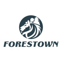 FORESTOWN INTERNATIONAL CONSULTING INC. logo - Similar company to Fvdew Enterprise Management Consulting Co.,Ltd
