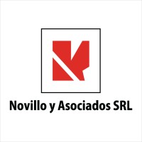 Novillo y Asociados logo - Similar company to Delaburo.Com