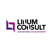 Linum Consult logo - Similar company to Red Wire (Pty) Ltd