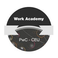 Work Academy logo - Similar company to Cismat Media