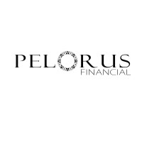 Pelorus Financial Group logo - Similar company to Pelorus Financial Group