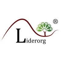 Liderorg Tech Private Limited logo - Similar company to Prismatic Assotech Private Limited