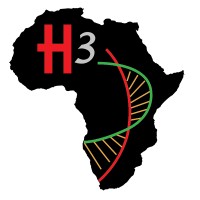 H3Africa Consortium logo - Similar company to African Center Of Excellence In Bioinformatics & Data Intensive Sciences - Uganda
