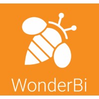 Wonderbi Analytics