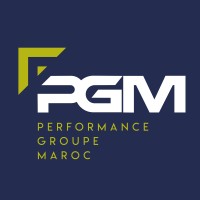 PGM Holding logo - Similar company to Mt&S Gofit