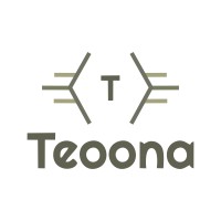 TEOONA - Maier & Schäfer GbR logo - Similar company to Flowdrive Gmbh