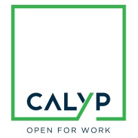 Calyp Coworking Dubai logo - Similar company to The Co-Spaces
