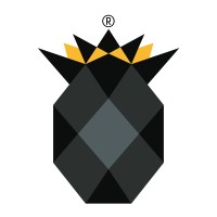 Meir Industries Pvt Ltd (Ananas) logo - Similar company to Traflic India Pvt. Ltd.